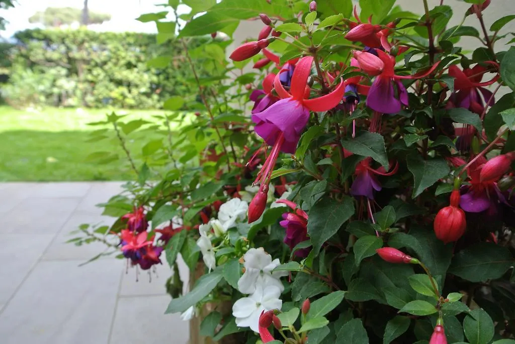 Bed & Breakfast Casa Grischuna B&B Lido di Camaiore Italy
