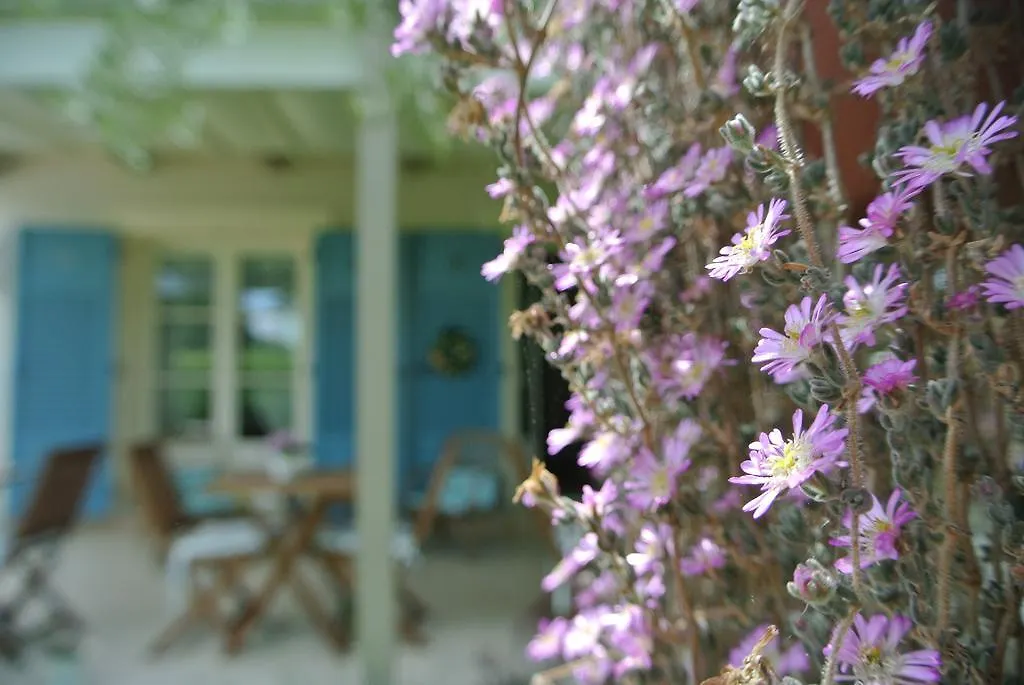Casa Grischuna B&B Lido di Camaiore 0*,